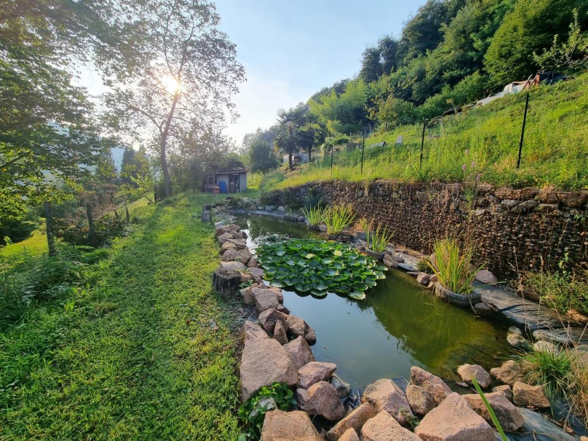 La Nave B&B Monteggio Exteriér fotografie